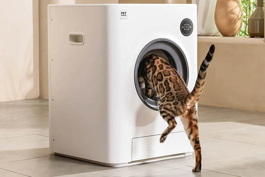 auto litter boxes for cats